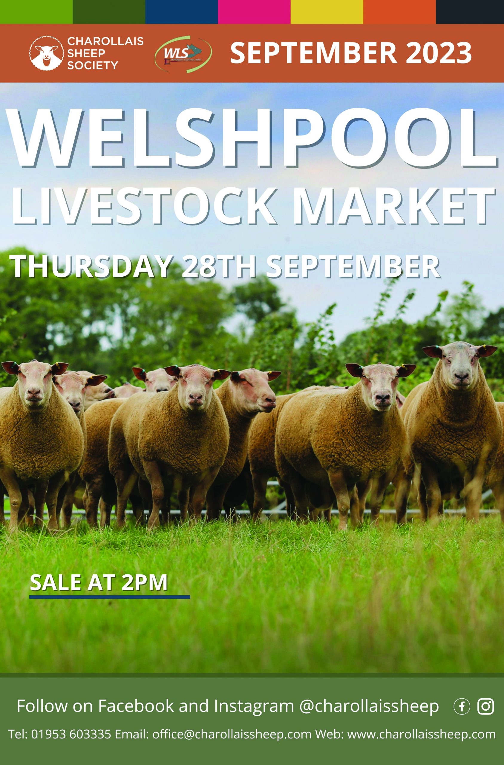 Welshpool sale