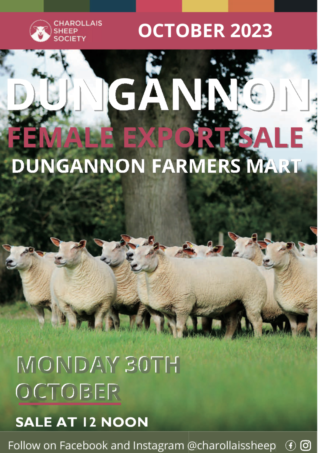 Dungannon Female Sale 