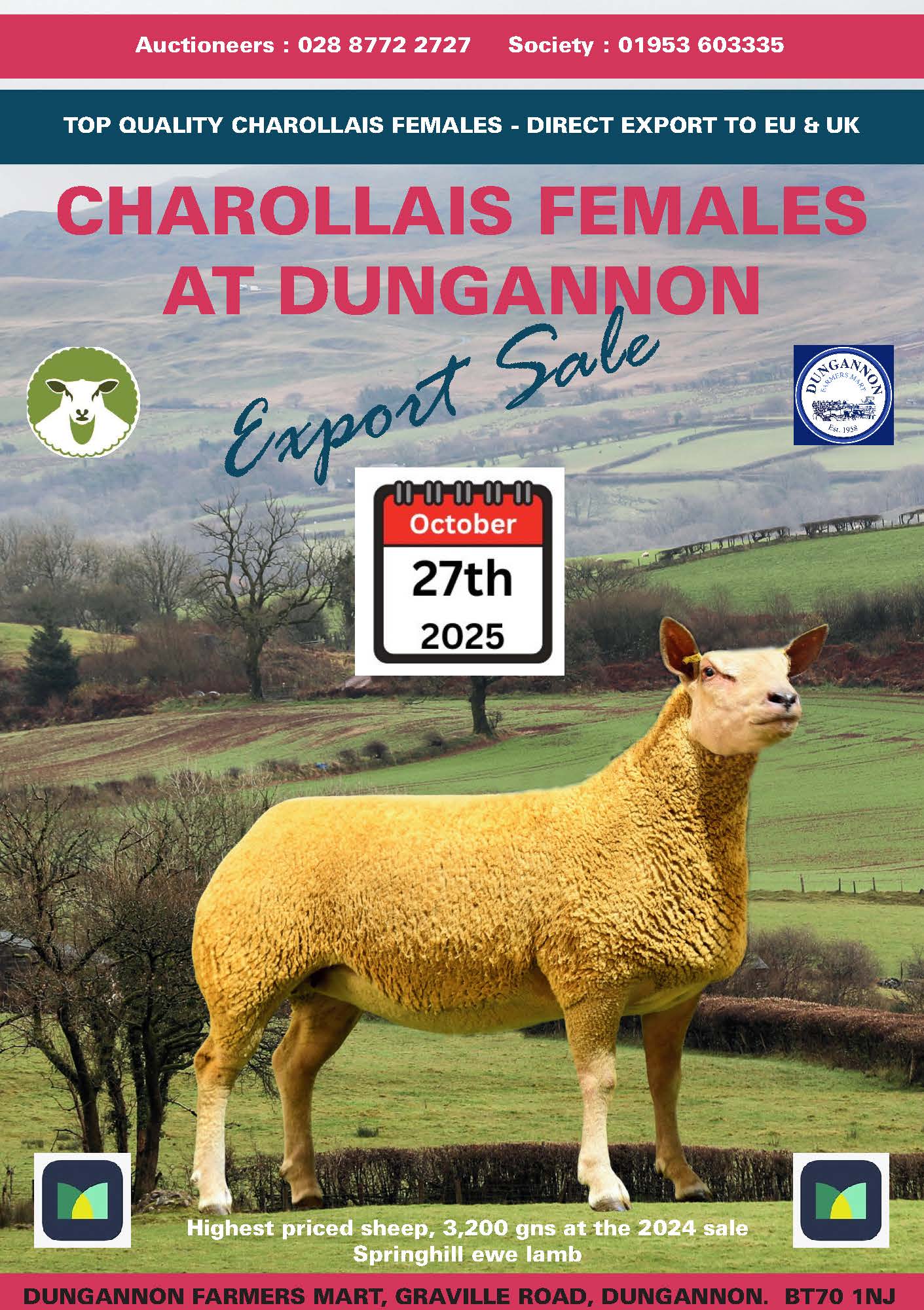 Dungannon Female Sale
