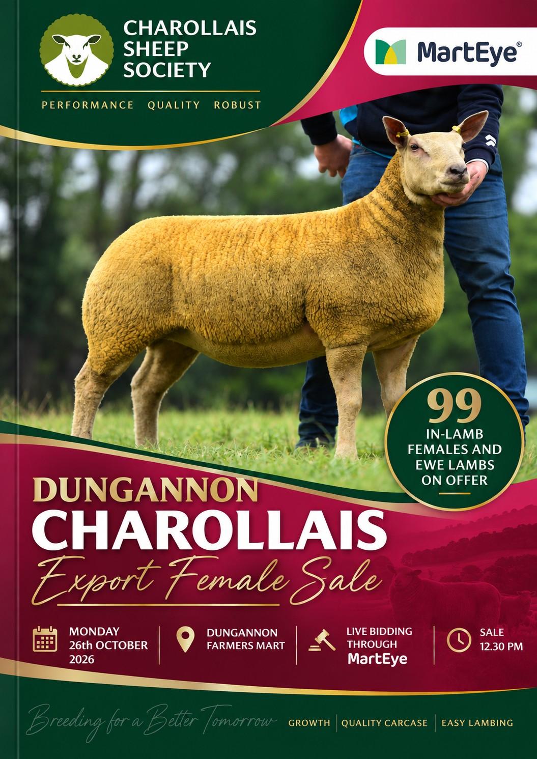 Dungannon Female Sale
